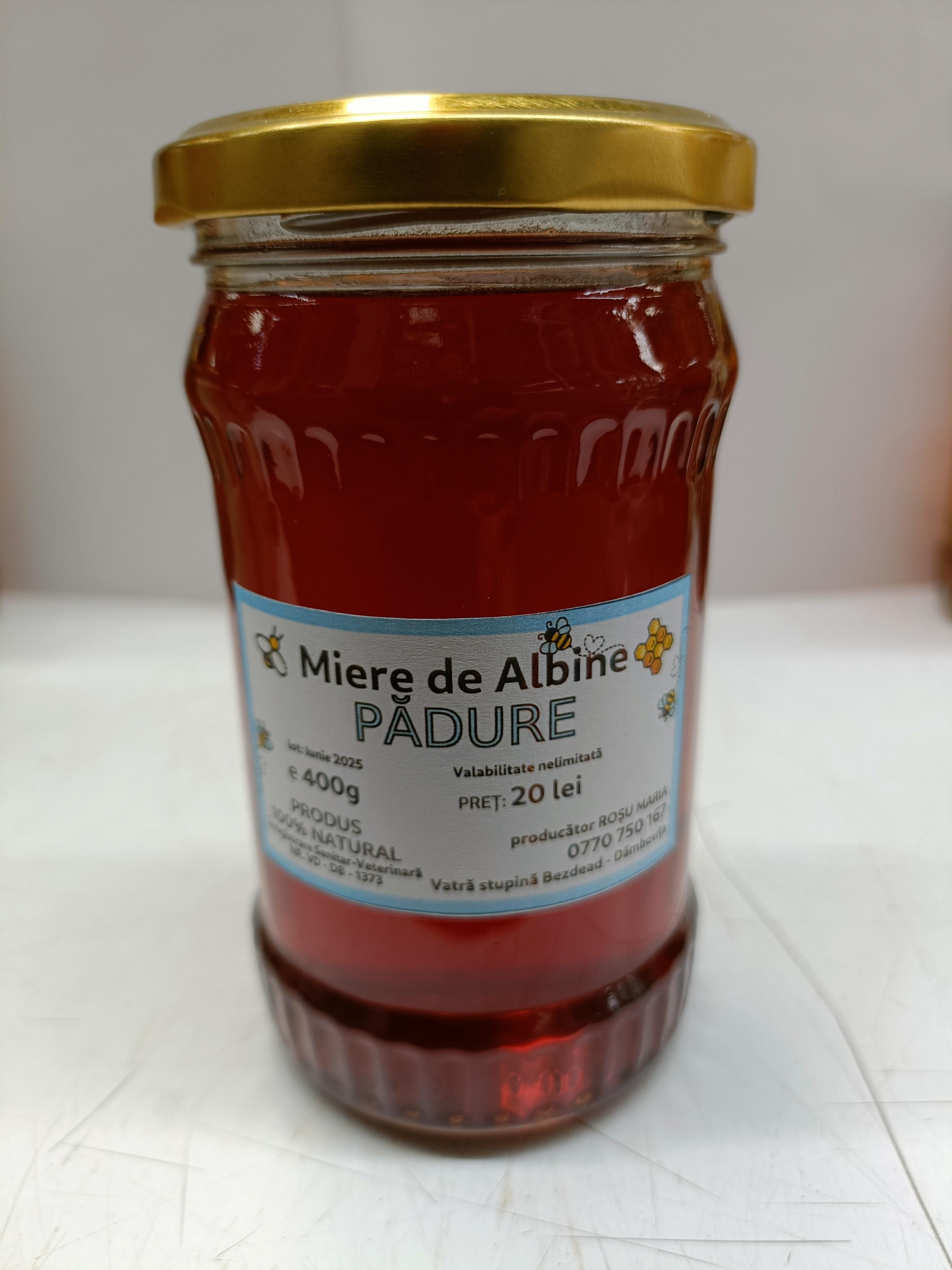 Pădure