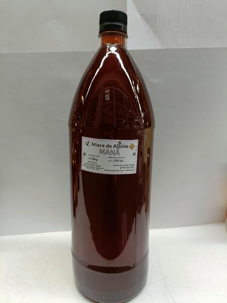 mana-2.9kg