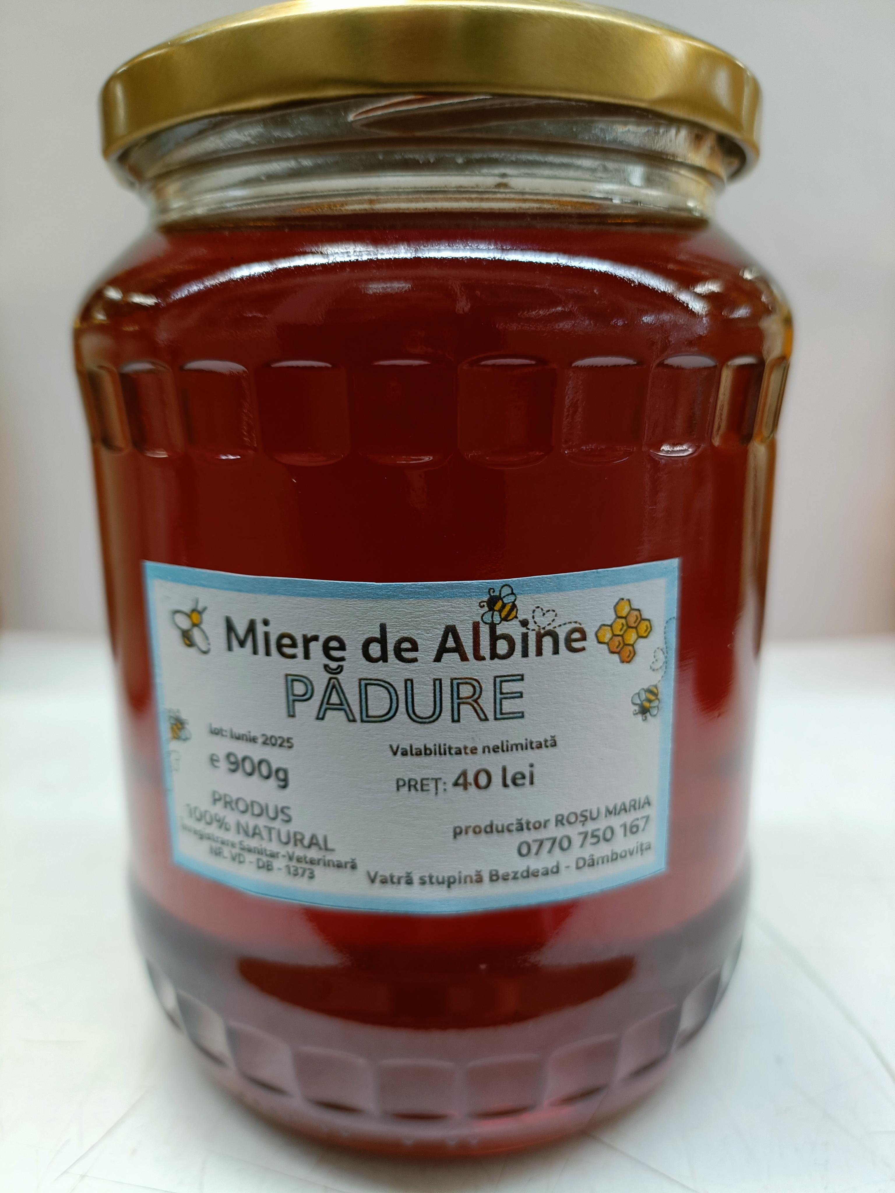 Pădure